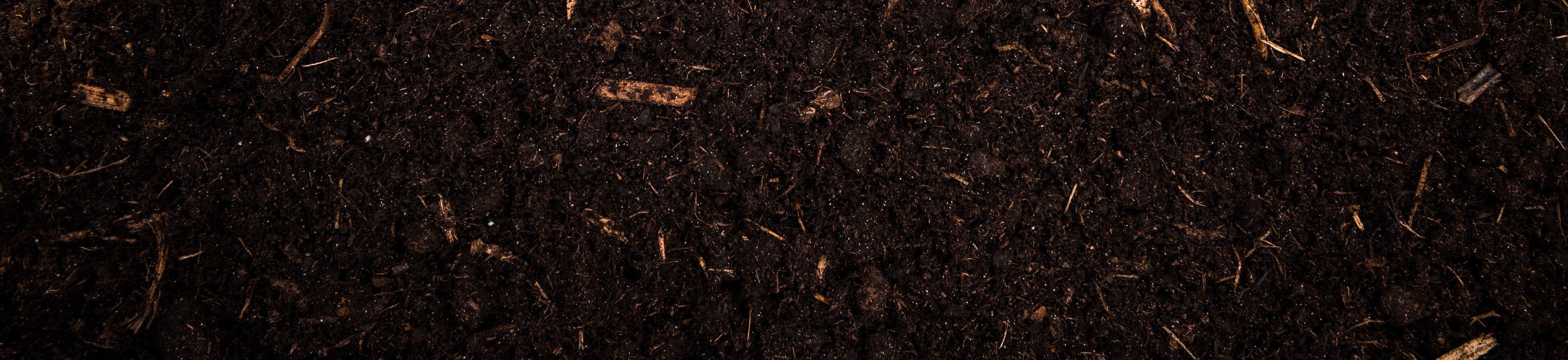 Rich dark soil foundation of every garden